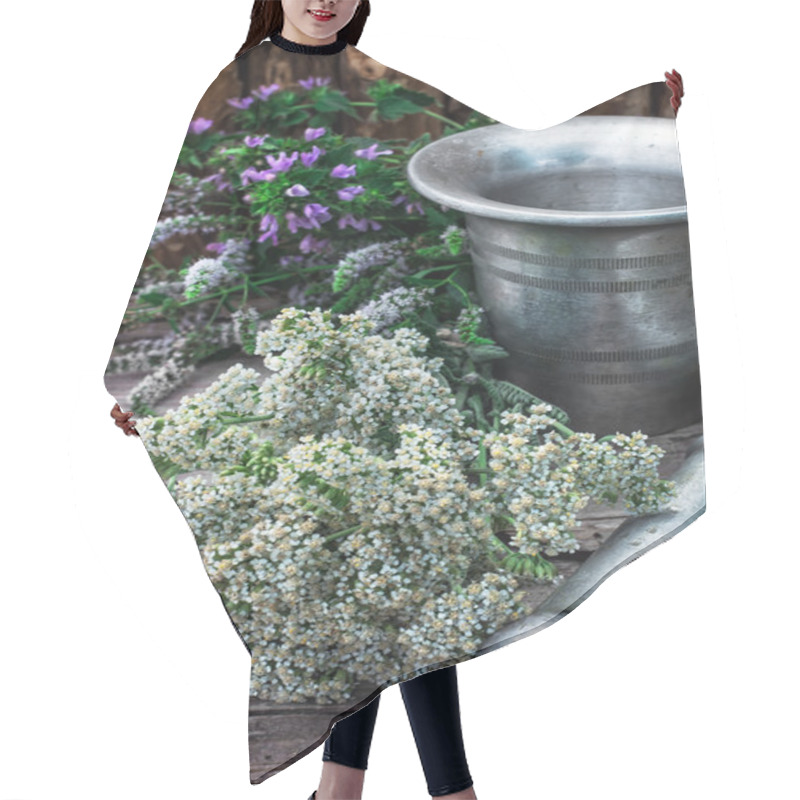 Personality  Peppermint Is Perennial Herbaceous Plant Hair Cutting Cape