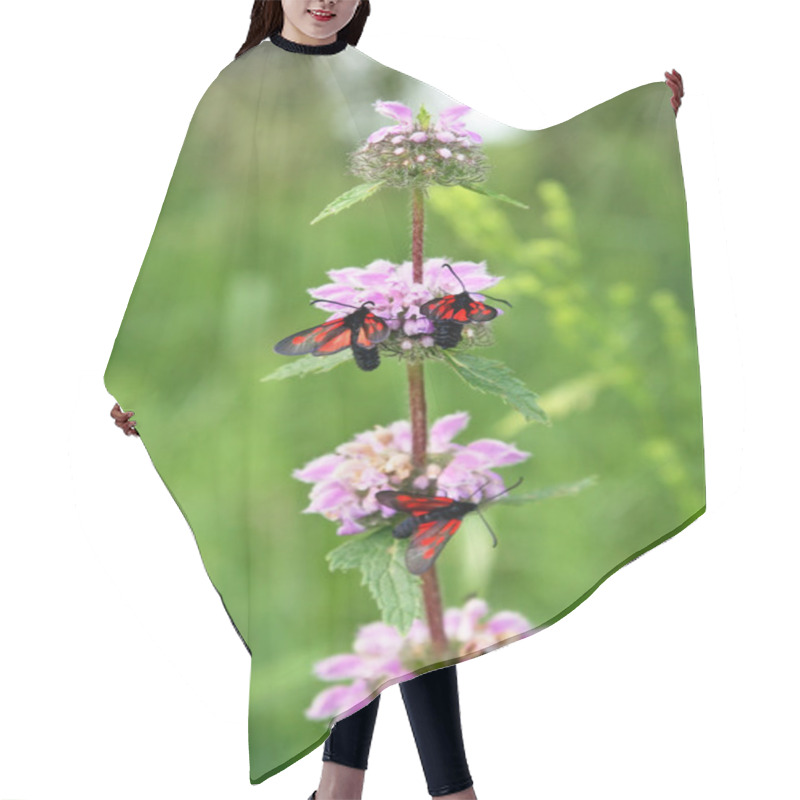 Personality  Insects On Meadow Flowers Hair Cutting Cape