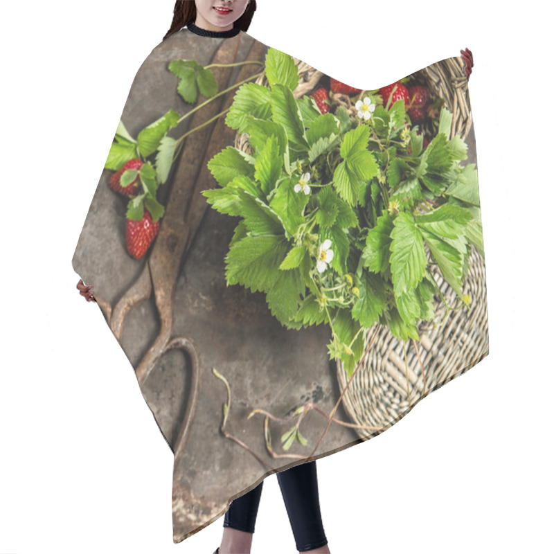 Personality  Still Life With Strawberries, Flowers And Leaves On Rustic Backg Hair Cutting Cape