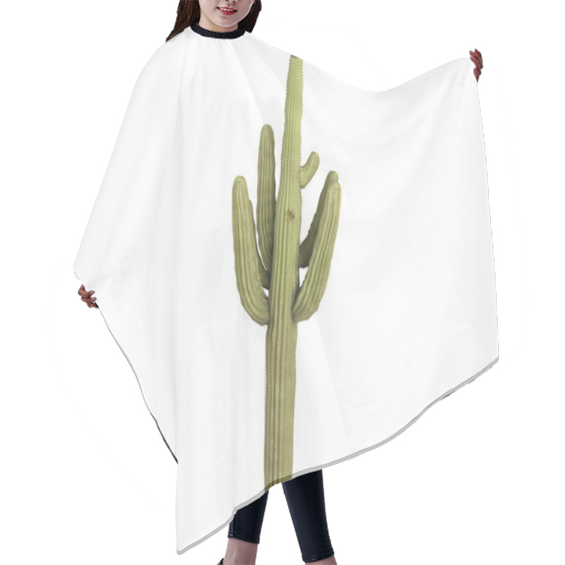 Personality  Saguaro Or Carnegiea Gigantea Hair Cutting Cape