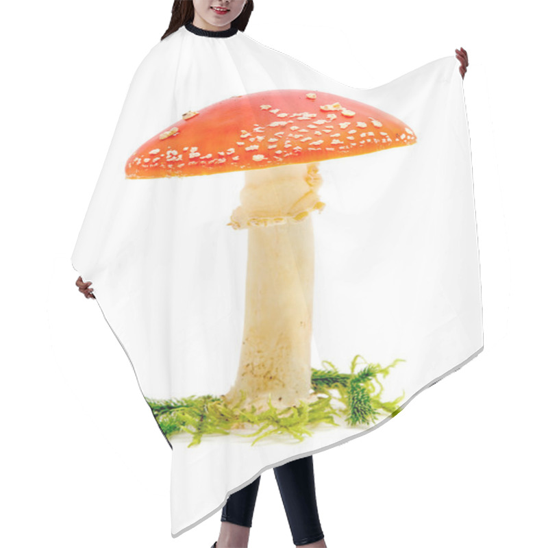 Personality  Big Fly Agaric Hair Cutting Cape