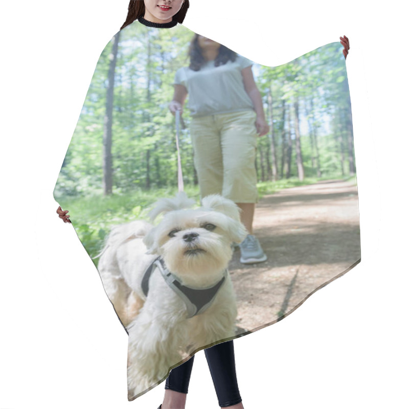 Personality  Woman Walking With Dog Hair Cutting Cape