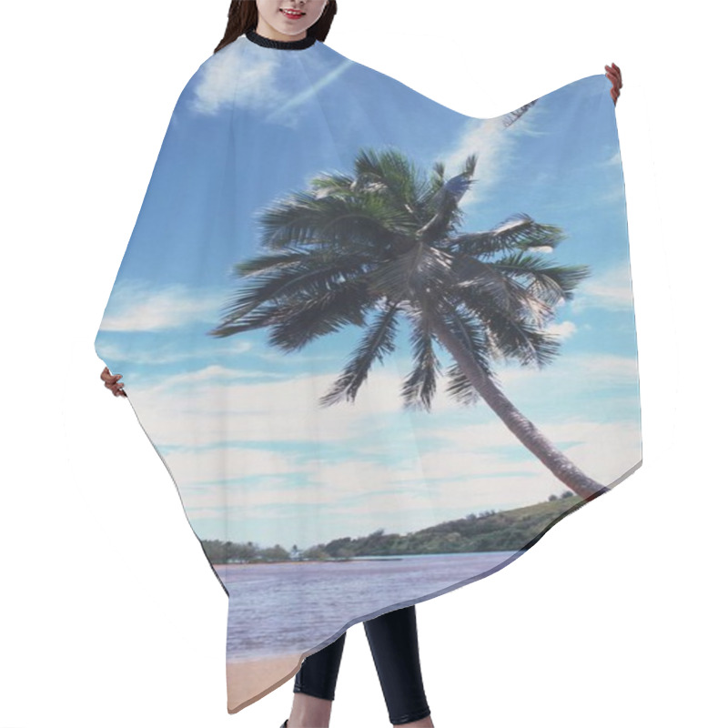 Personality  Sunny Day Over Azure Waters With Tropical Trees And Clouds, Cloud, Sky, Water, Daytime, Plant, Nature, Blue, Palm Tree, Tree, Tropical, Sunlight, Horizon, Lake, Reflection, Landscape, Serene, Outdoors, Environment, Summer, Bright, Atmosphere, Tranqui Hair Cutting Cape