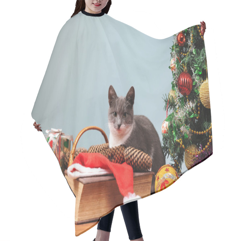 Personality  New Year's Decoration And The Cat Hair Cutting Cape