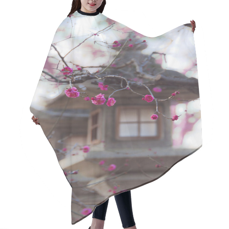 Personality  Japanese Lantern And Sakura Hair Cutting Cape