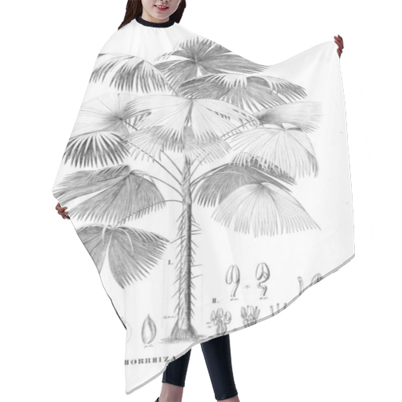 Personality  Palm Tree. Retro And Old Image Hair Cutting Cape