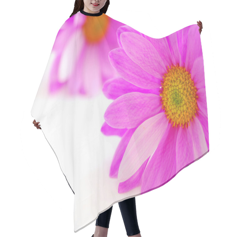 Personality  Pink Flowers Close Up On White Background Hair Cutting Cape