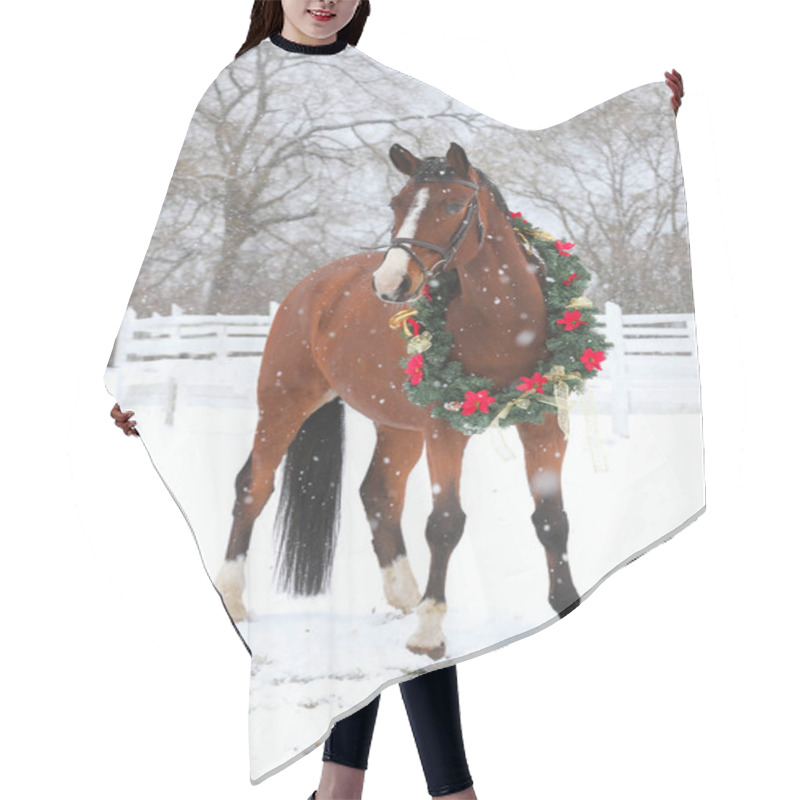 Personality  Picture Of A Purebred Horse Wearing Beautiful Christmas Garland Decorations Fall Of Sno Hair Cutting Cape