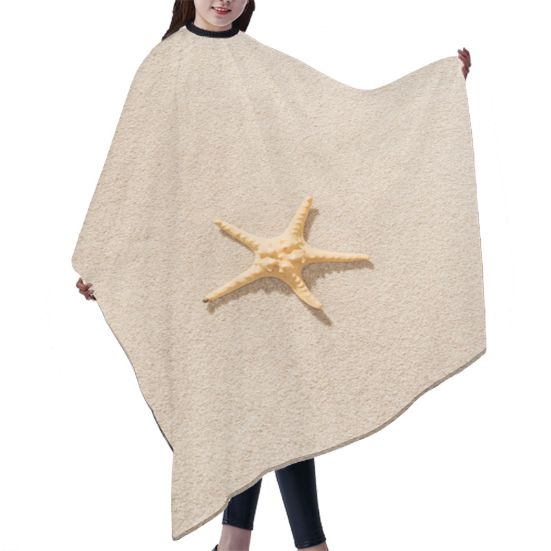 Personality  Top View Of Dry Starfish Lying On Sandy Beach Hair Cutting Cape