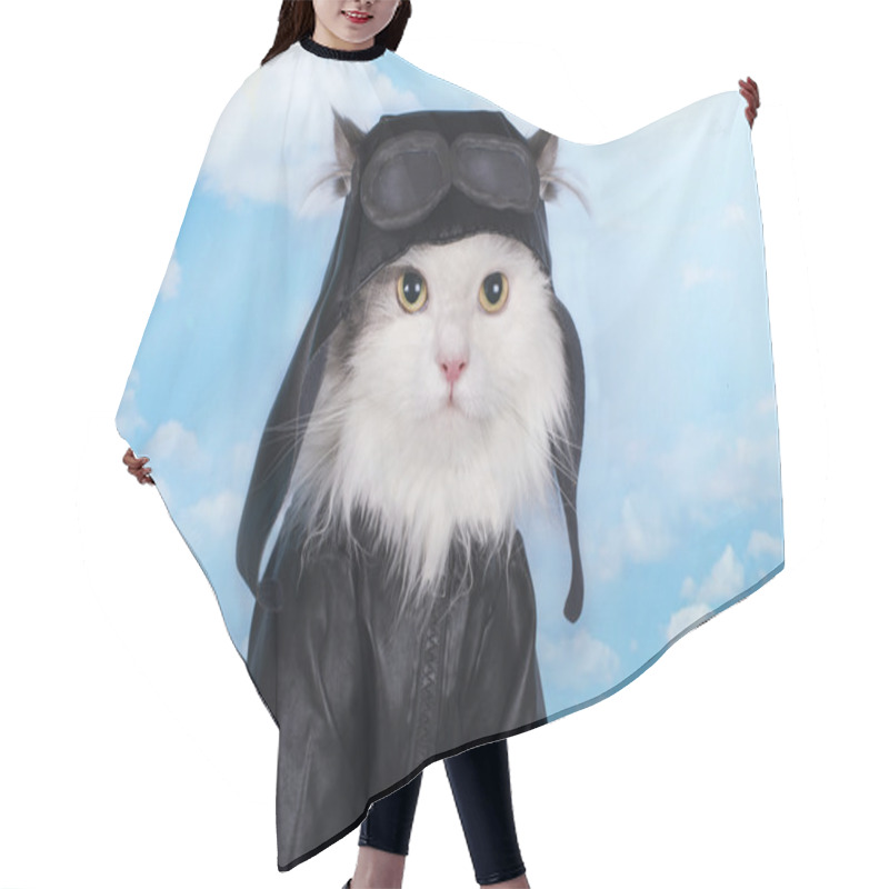 Personality  Cat In A Suit Against The Sky Pilot Hair Cutting Cape