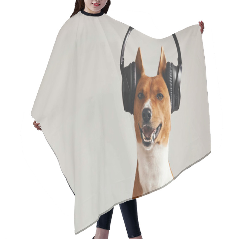 Personality  Happy Basenji Dog Wearing Headphones Hair Cutting Cape