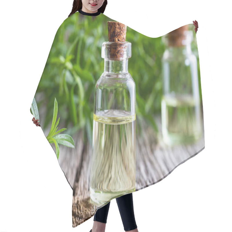 Personality  A Bottle Of Mountain Savory Essential Oil With Fresh Satureja Montana Plant Hair Cutting Cape