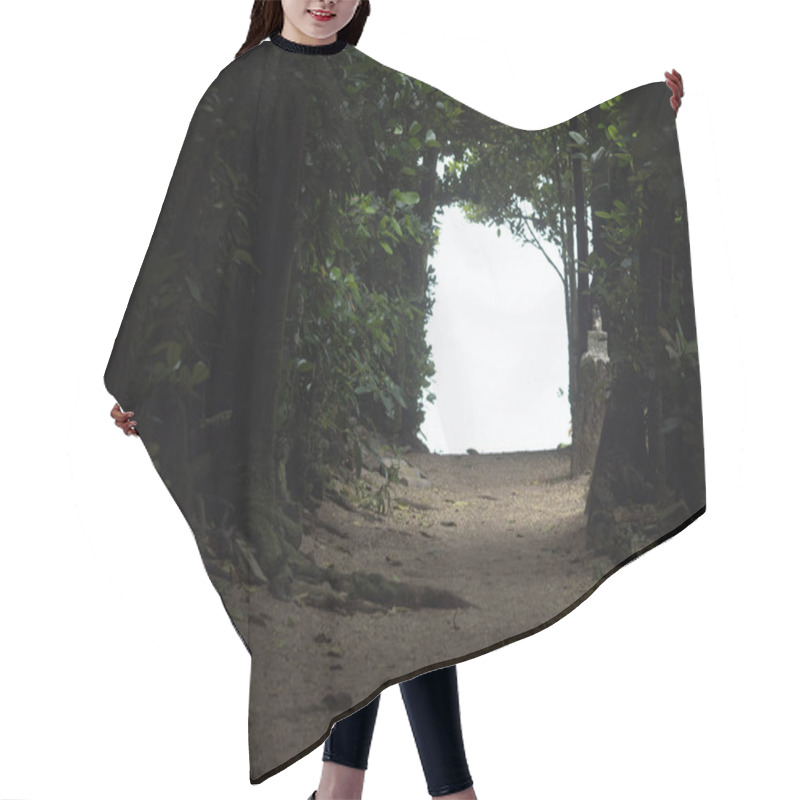 Personality  Tree Lined Street In Okinawa Hair Cutting Cape