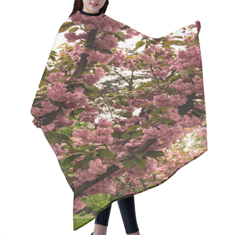 Personality  Branches Of Sakura In Full Bloom With Delicate Pink Flowers, Creating A Peaceful And Picturesque Scene. A Stunning Representation Of Spring And Renewal In Nature. Hair Cutting Cape