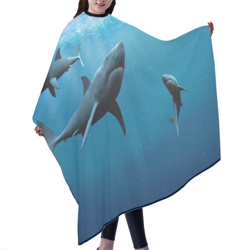 Personality  Sharks In The Sea. Hair Cutting Cape