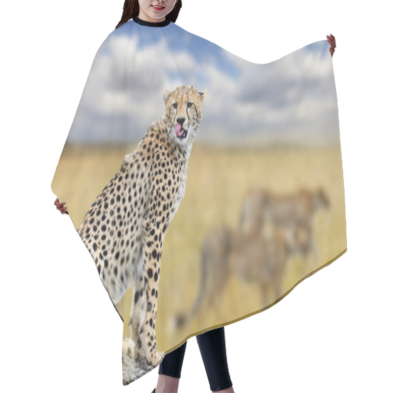 Personality  Cheetah On Savannah In Africa Hair Cutting Cape