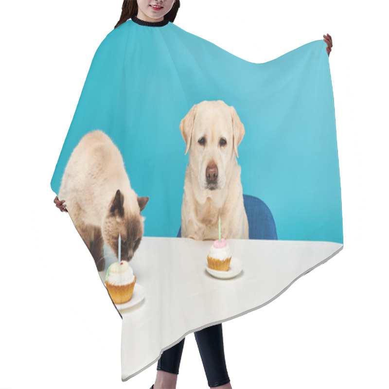 Personality  A Cat And A Dog Enjoy Cupcakes Together At A Table In A Delightful Studio Setting. Hair Cutting Cape