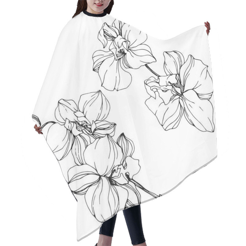 Personality  Beautiful Black And White Orchid Flowers Engraved Ink Art. Isolated Orchids Illustration Element On White Background. Hair Cutting Cape