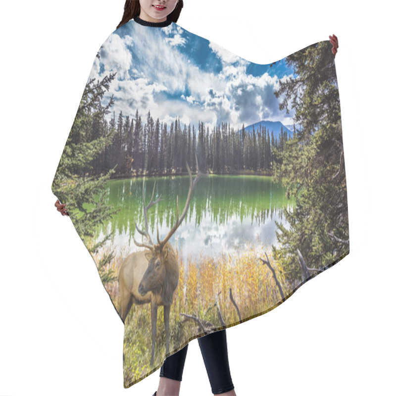 Personality  The Horned Deer, Lake And Woods  Hair Cutting Cape