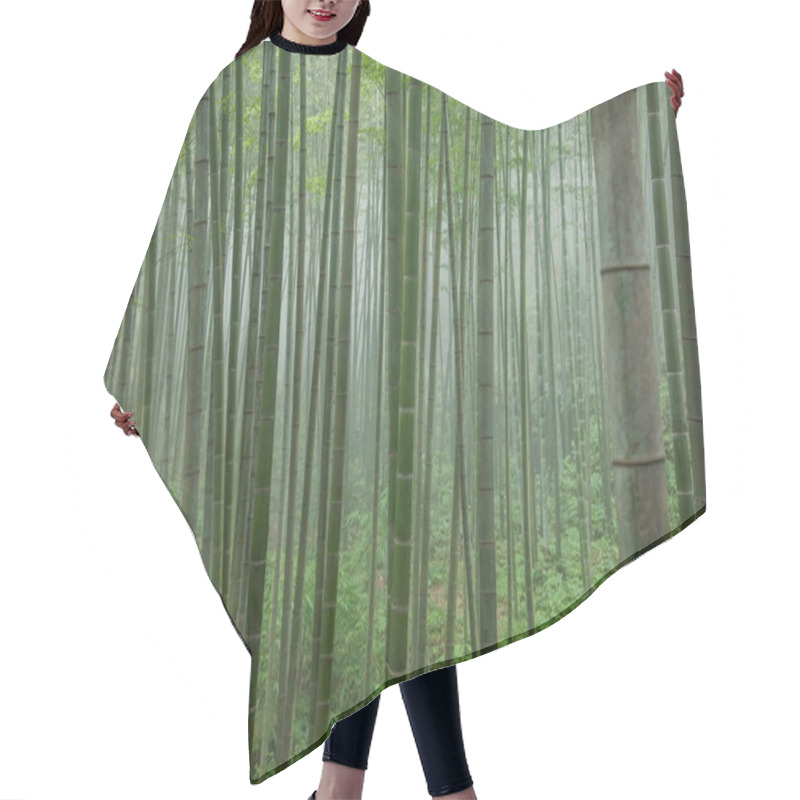 Personality  Sichuan Chu Nan Bamboo Sea Area Deep Bamboo Forest Hair Cutting Cape