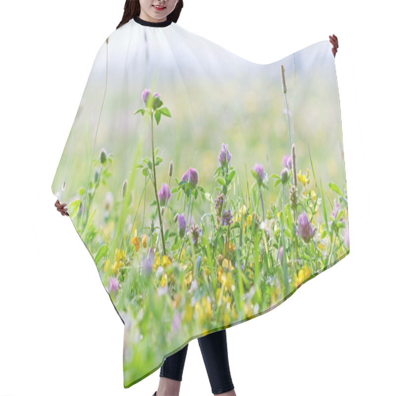 Personality  Flowering Clover - Red Clover Hair Cutting Cape