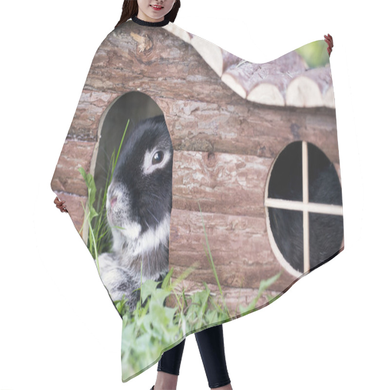 Personality  Bunny Rabbit Lying On Summer Grass Hair Cutting Cape