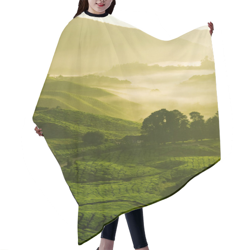 Personality  Tea Farm Hair Cutting Cape