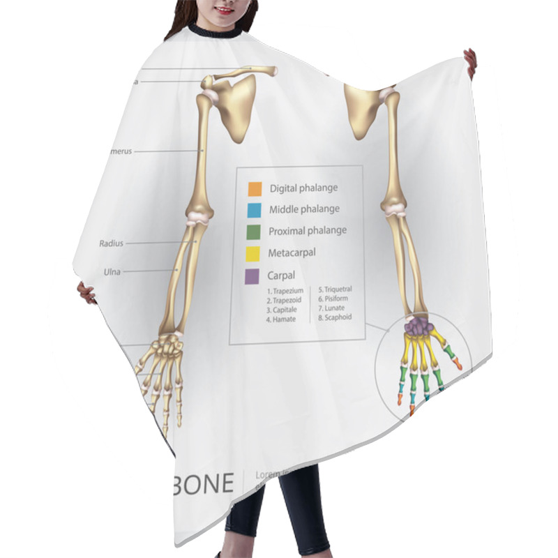 Personality  Arm And Hand Bone Vector Illustration Hair Cutting Cape