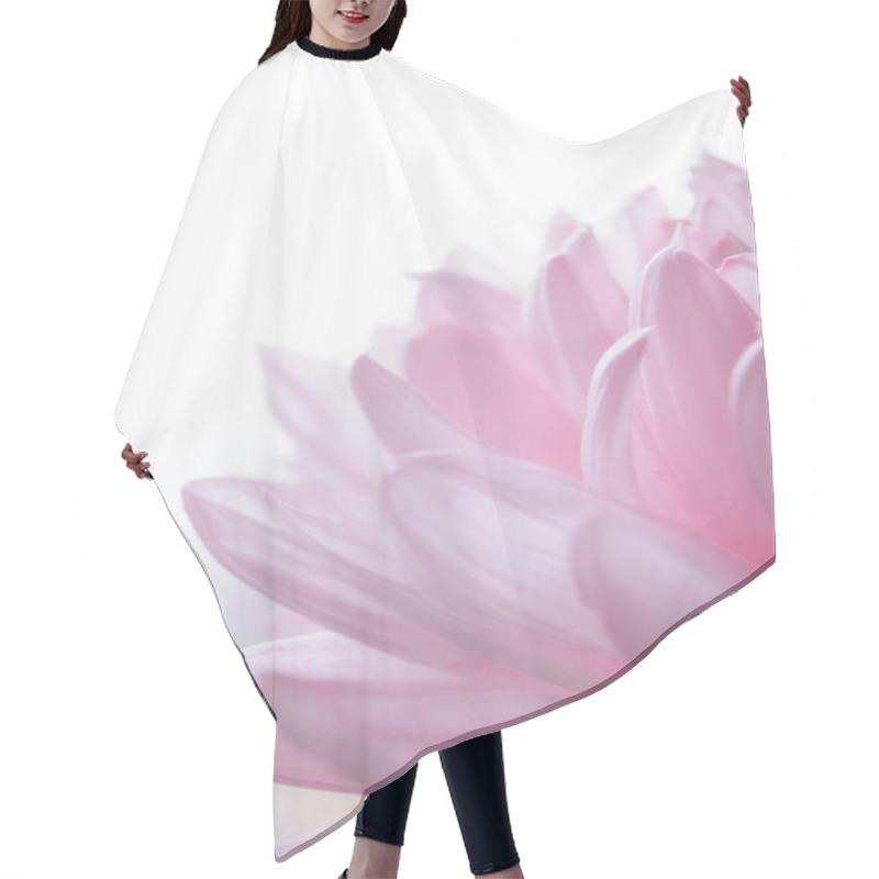 Personality  Close Up Image Of The Beautiful Pink Chrysanthemum Flower Hair Cutting Cape