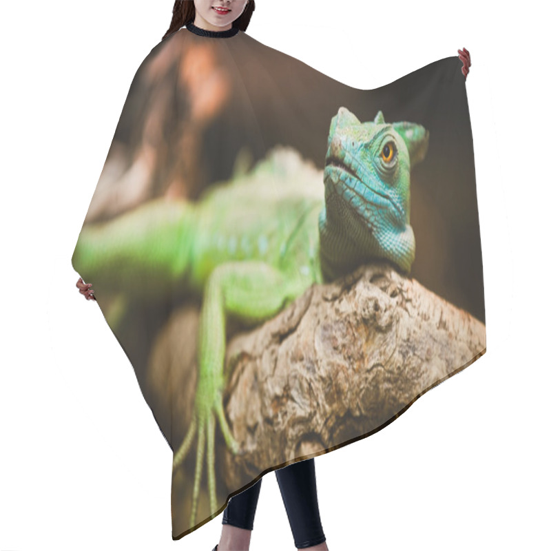 Personality  Reptilian Green Hair Cutting Cape