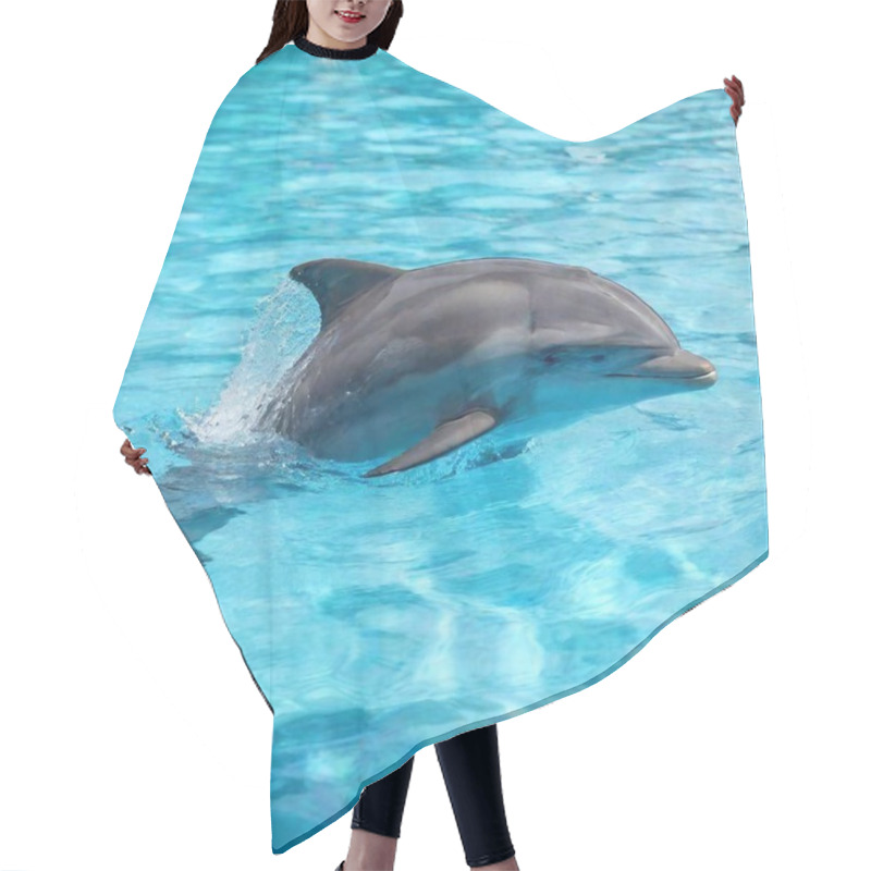 Personality  A High-resolution Ultrarealistic Image Captures A Playful Dolphin Emerging From A Vibrant, Crystal-clear Blue Pool. The Digital Photo Art Style Emphasizes The Dolphin's Smooth, Glistening Skin As It Beams With A Wide, Open-mouthed Smile, Showcasing Hair Cutting Cape