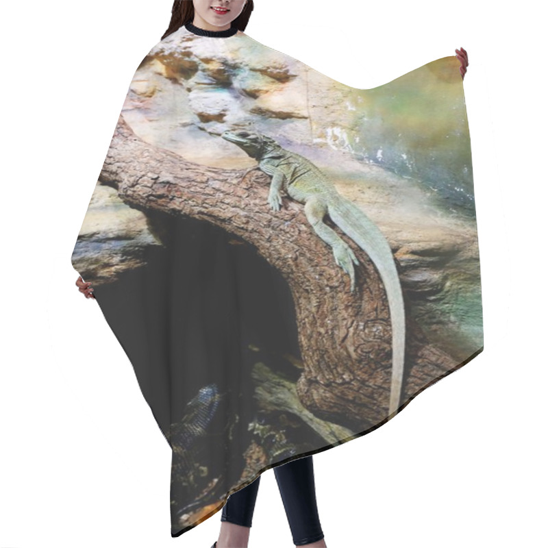 Personality  Water Dragon Hair Cutting Cape