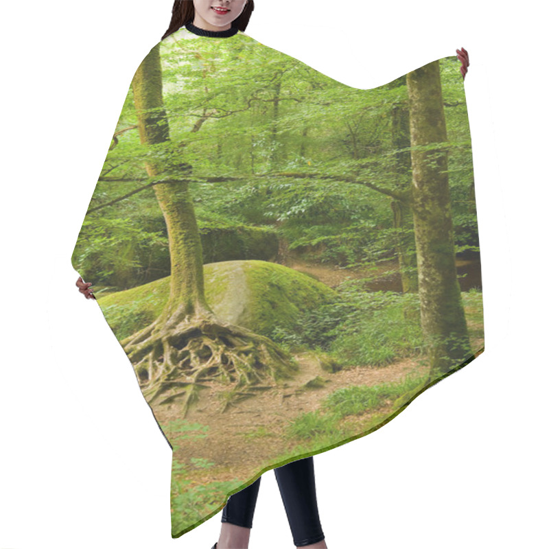 Personality  Deep Forest In Brittany, France Hair Cutting Cape