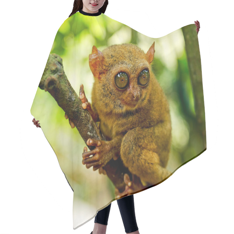 Personality  Tarsier Hair Cutting Cape