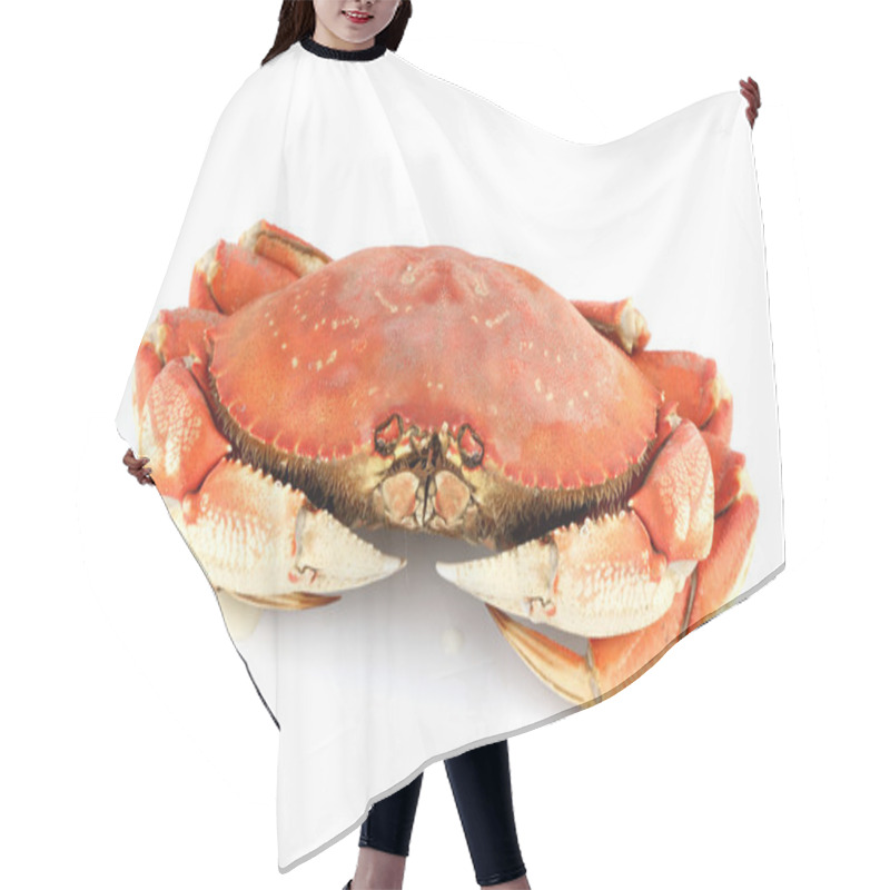 Personality  Dungeness Crab Hair Cutting Cape