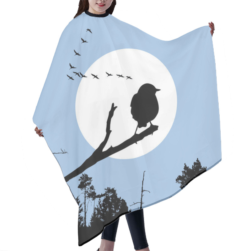 Personality  Bird On Branch Silhouette On Solar Background, Vector Illustrati Hair Cutting Cape