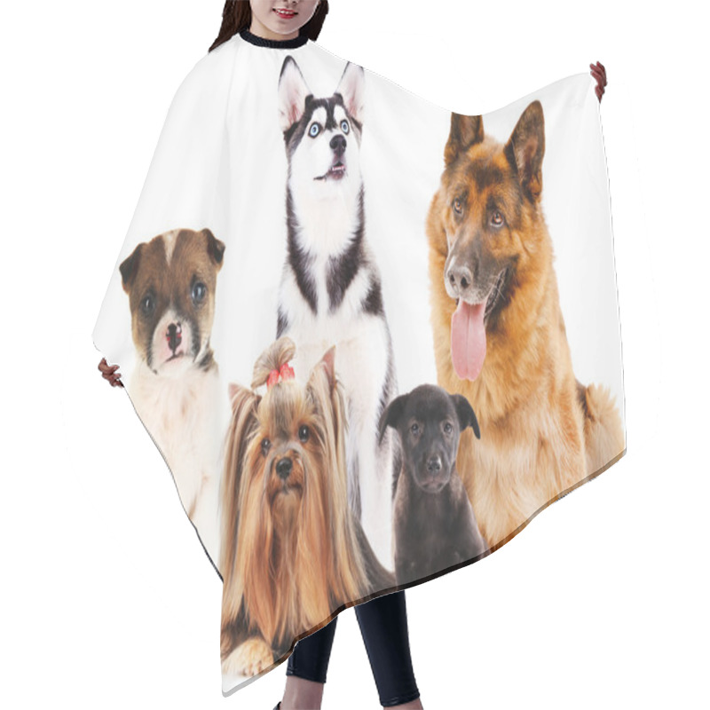 Personality  Cute Dogs Hair Cutting Cape