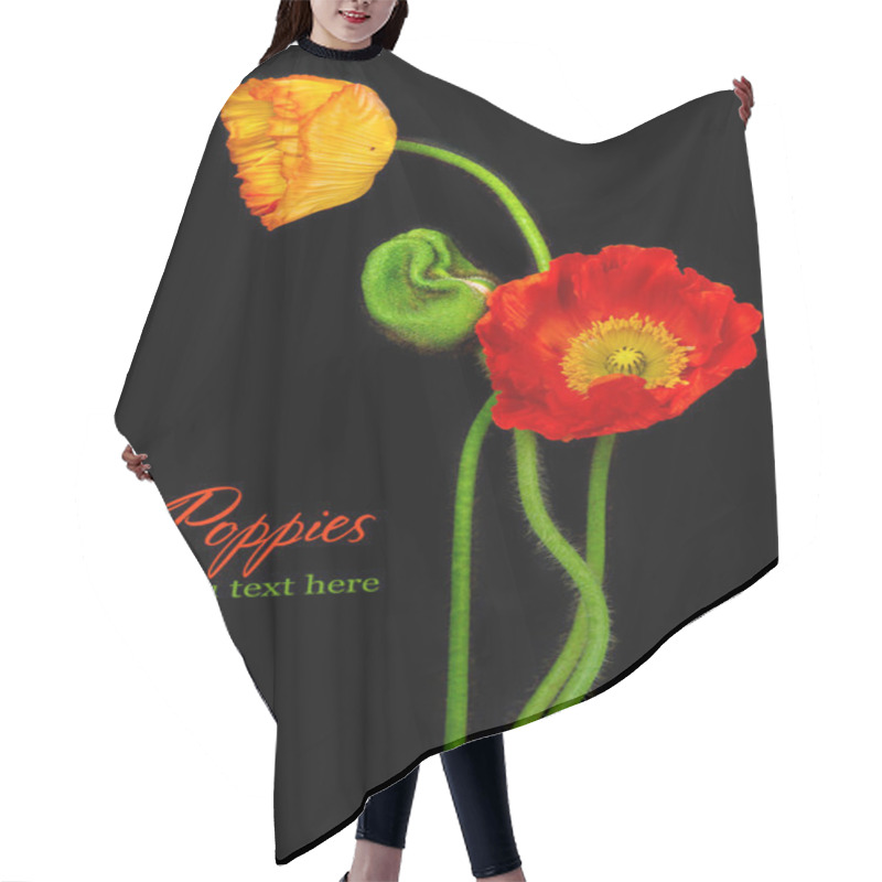 Personality  Red Poppies Hair Cutting Cape