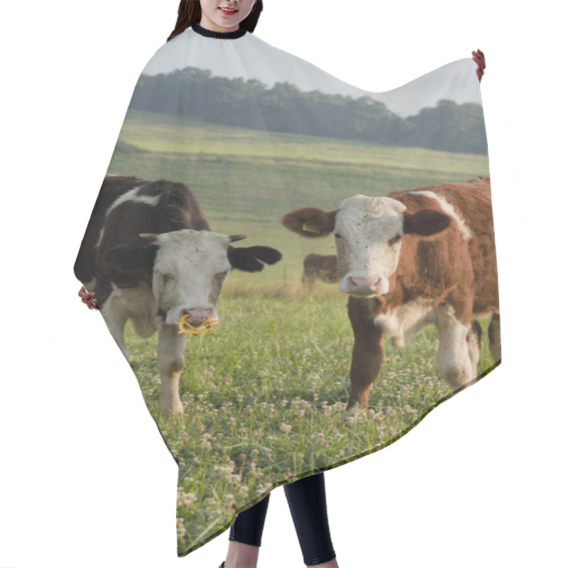 Personality  Cow Couple Hair Cutting Cape