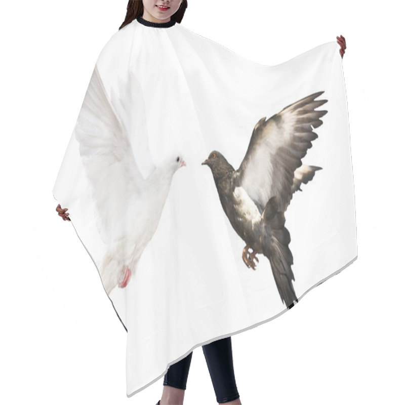 Personality  Isolated Black And White Doves Hair Cutting Cape