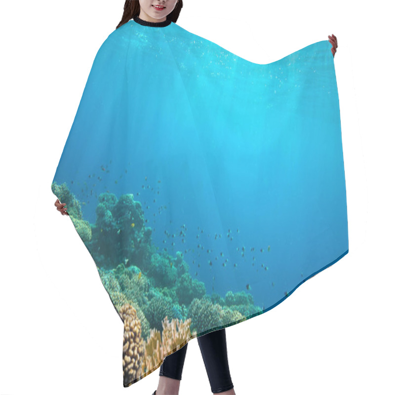 Personality  Ocean Underwater Background Image Hair Cutting Cape