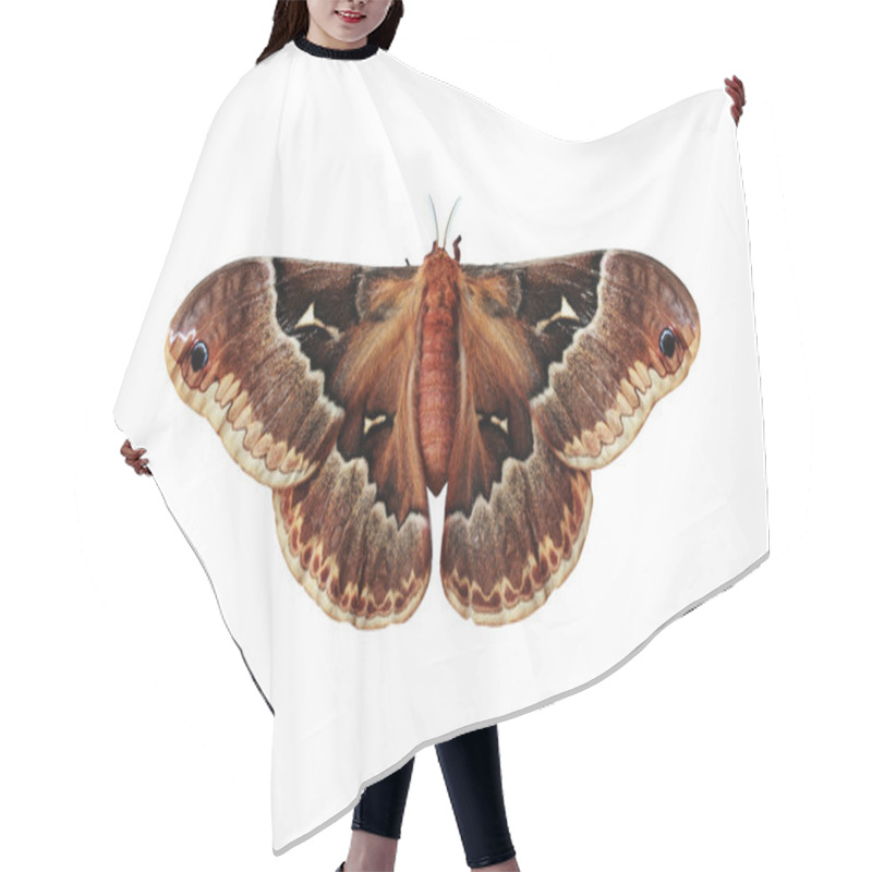 Personality  Callosamia Promethea Hair Cutting Cape