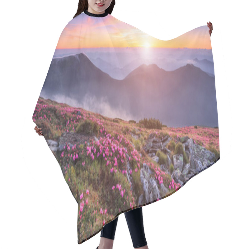 Personality  Panoramic View In Lawn With Pink Rhododendron Flowers, Beautiful Sunset With Orange Sky In Summer Time. Mountains Landscapes. Location Carpathian, Ukraine, Europe. Colorful Background. Hair Cutting Cape