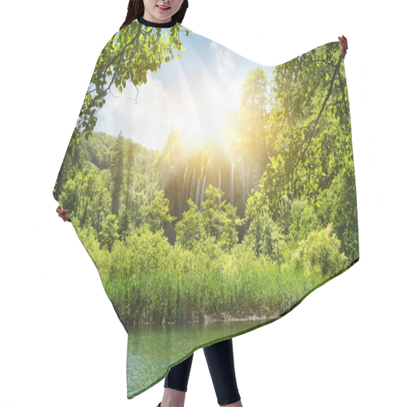 Personality  Sunshine In A Forest Hair Cutting Cape