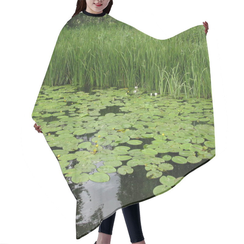 Personality  Green Water Landscape From The Stettiner Haff Hair Cutting Cape