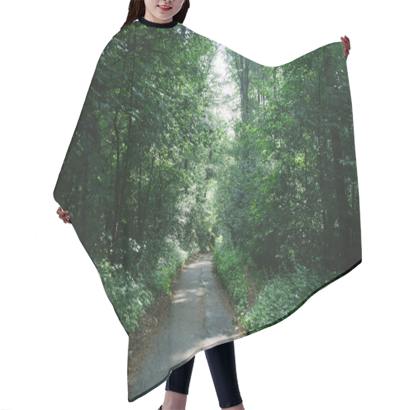 Personality  Road Between Green Trees In Beautiful Forest In Hamburg, Germany  Hair Cutting Cape