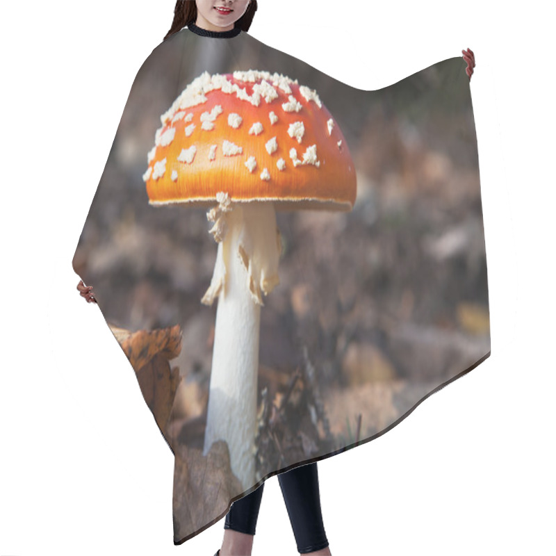 Personality  Amanita Muscaria Hair Cutting Cape