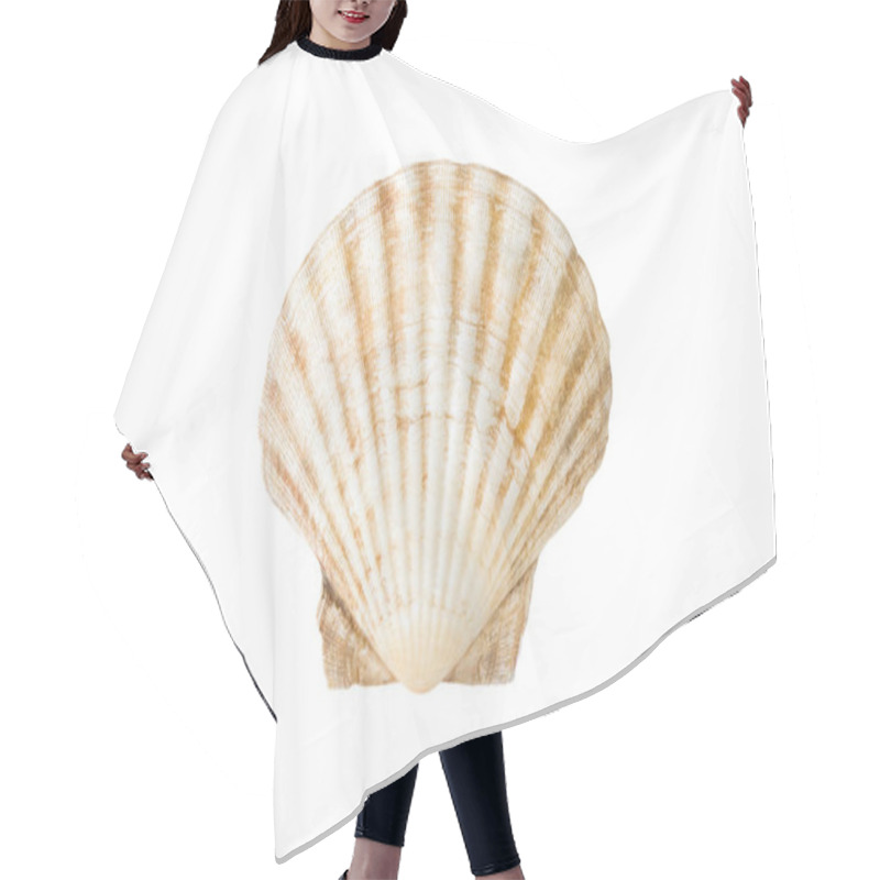 Personality  One Empty Shell Mediterranean Scallop (Pecten Jacobaeus) Isolated On A White Background Hair Cutting Cape