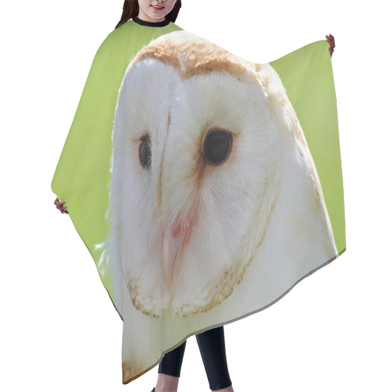 Personality  White Barn Owl With Dark Eyes Hair Cutting Cape