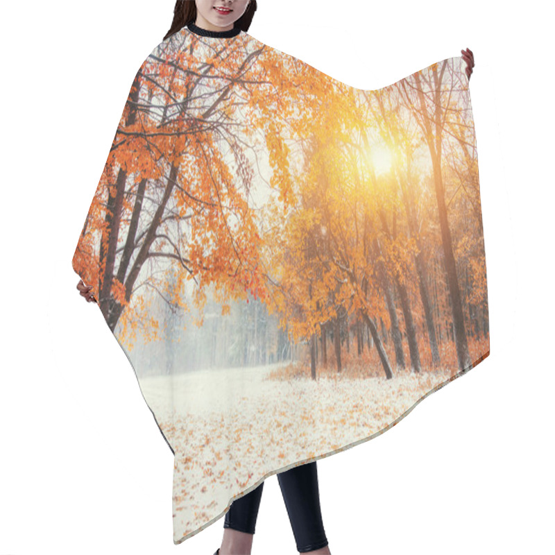 Personality  October Mountain Beech Forest With First Winter Snow  Hair Cutting Cape